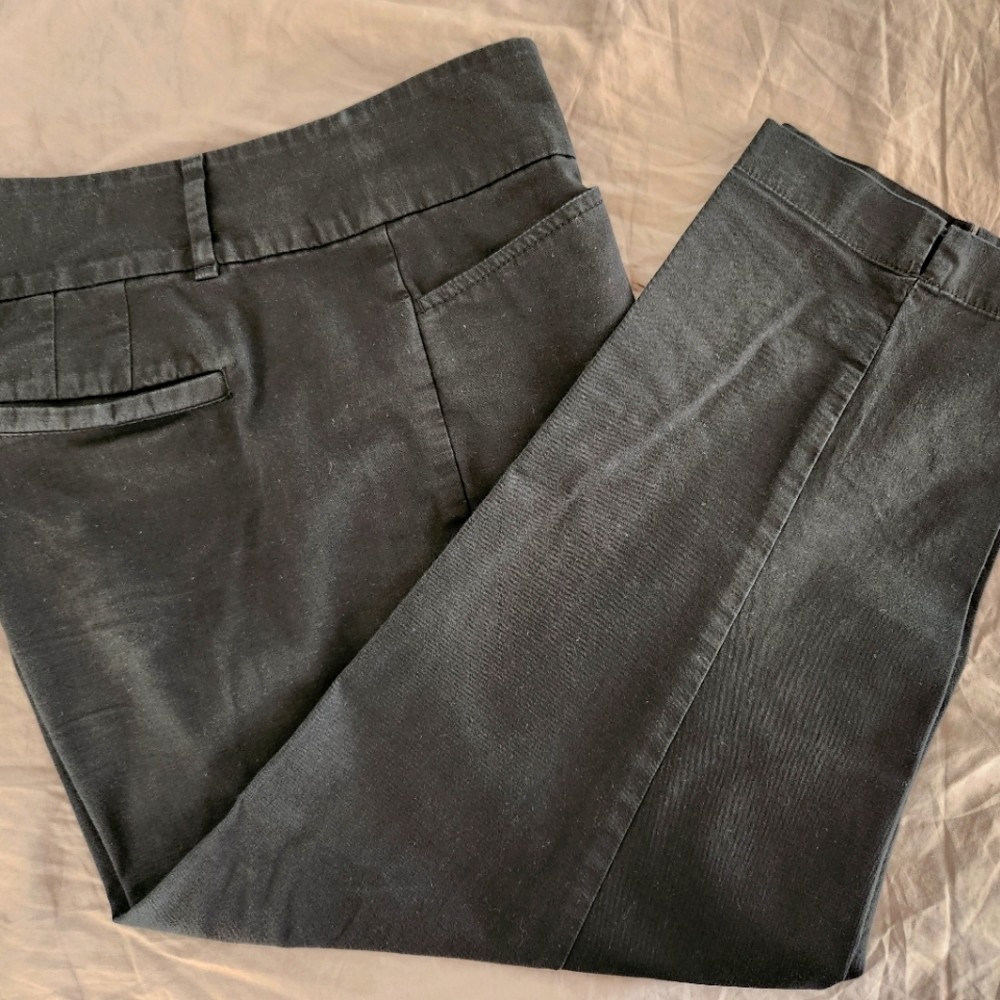 LOFT Original Crop size 10